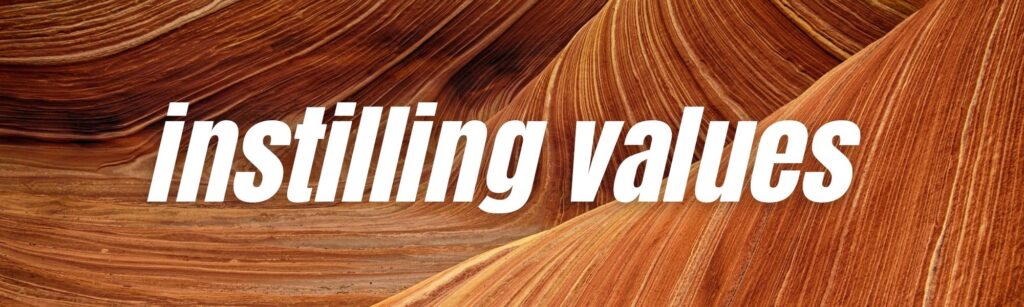 INSTILLING VALUES
